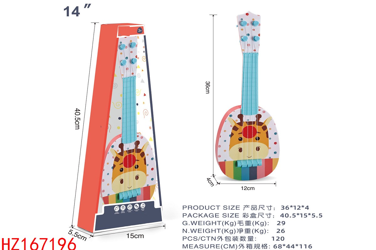 HZ167196