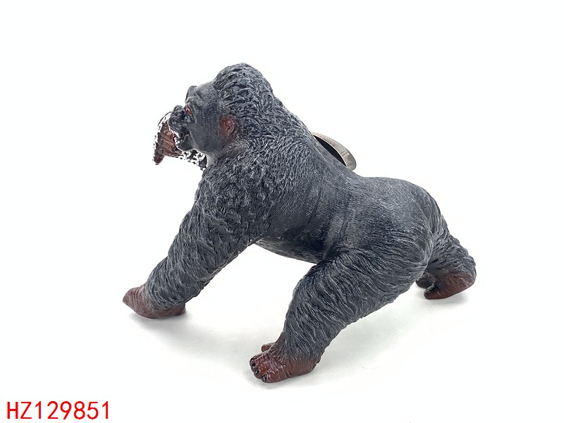 HZ129851