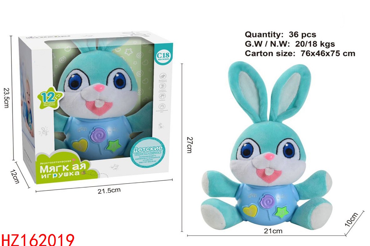 HZ162019