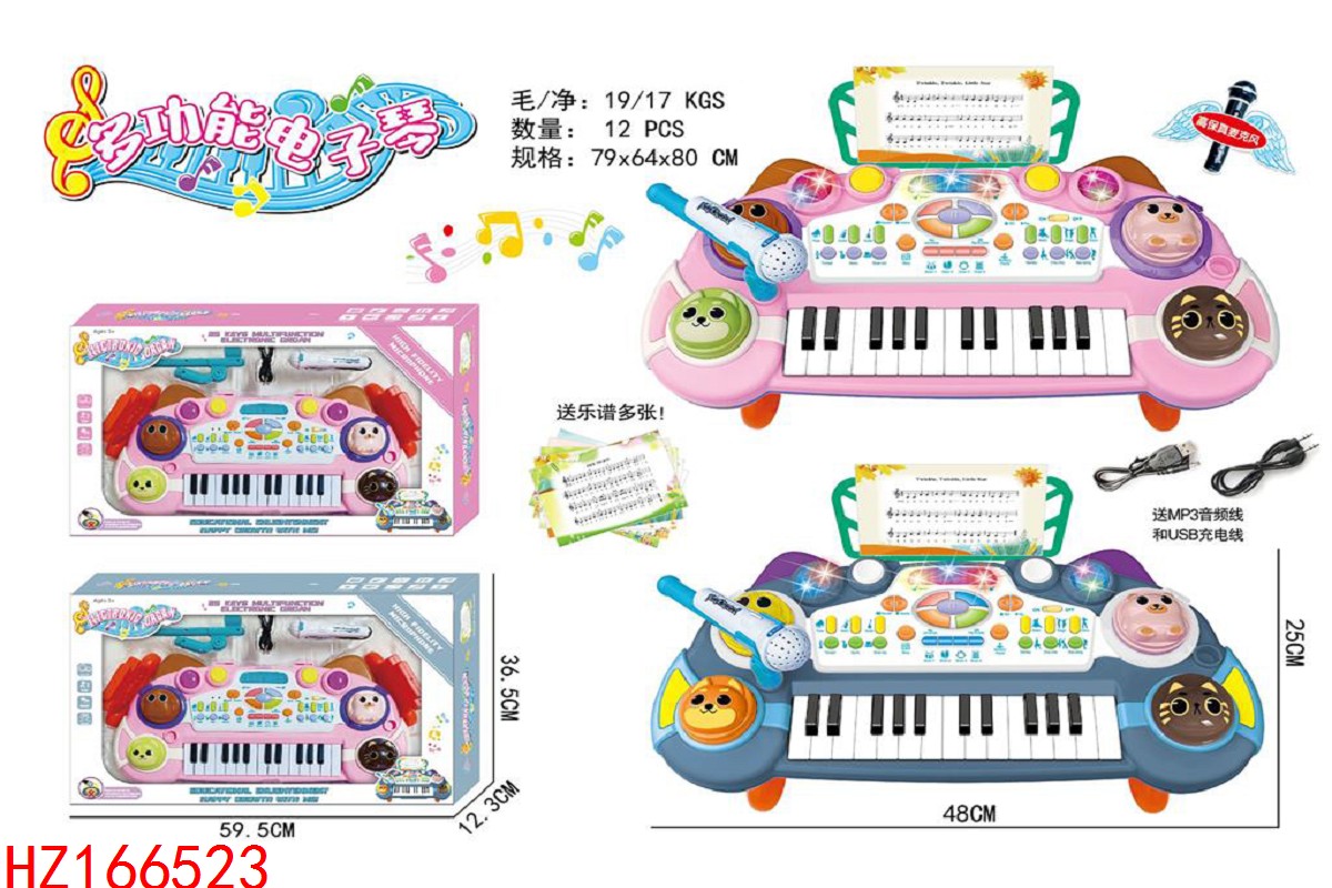 HZ166523