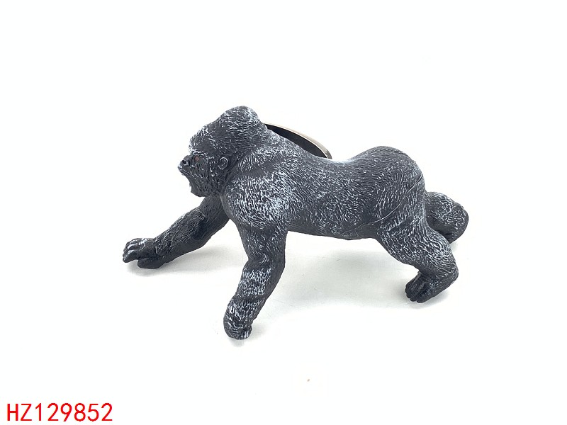 HZ129852
